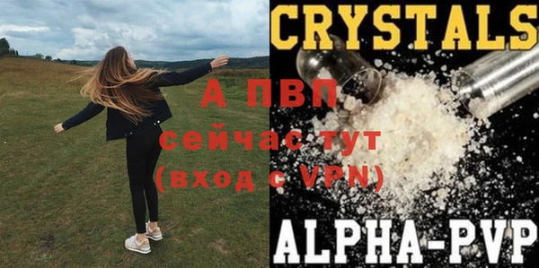 ECSTASY Абаза