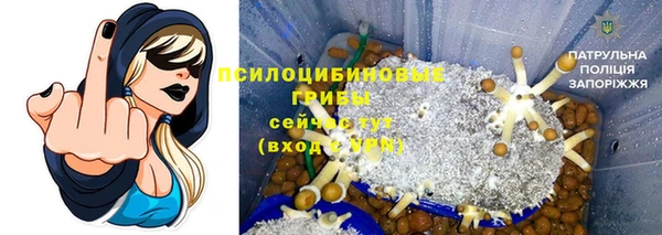 СК Абинск