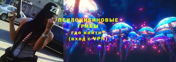 крисы Алексин